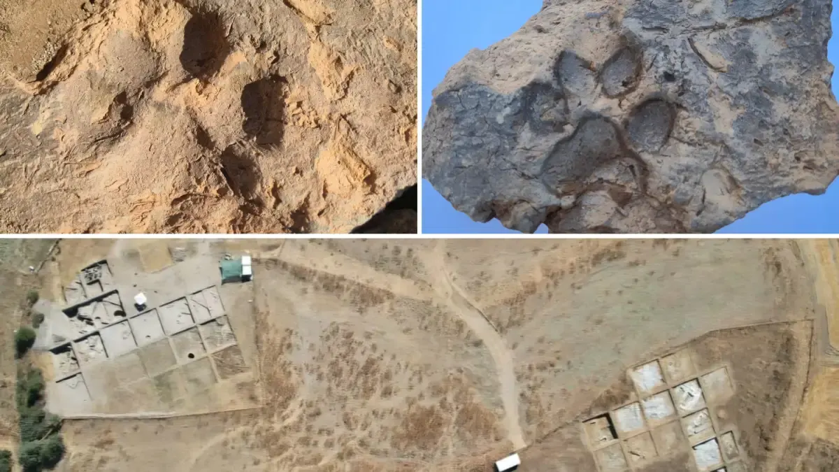 Tavşanlı Höyük kazılarında 4 bin yıllık pati izleri bulundu