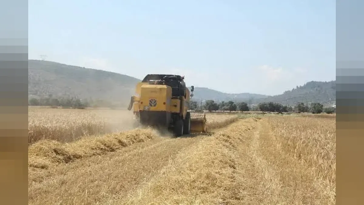 Pancar üreticilerine 952 milyon liralık avans ödemesi